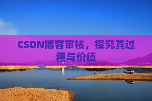 CSDN博客审核，探究其过程与价值